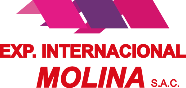 Inicio